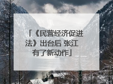 《民营经济促进法》出台后 张江有了新动作