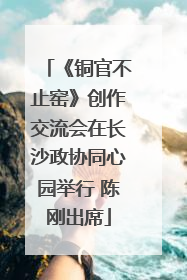 《铜官不止窑》创作交流会在长沙政协同心园举行 陈刚出席
