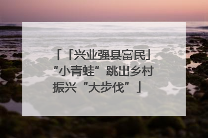 「兴业强县富民」“小青蛙”跳出乡村振兴“大步伐”