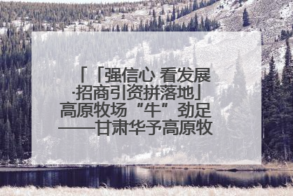 「强信心 看发展·招商引资拼落地」高原牧场“牛”劲足——甘肃华予高原牧场高标准奶牛肉牛养殖项目一线见闻