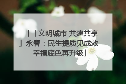 「文明城市 共建共享」永春：民生提质见成效 幸福底色再升级