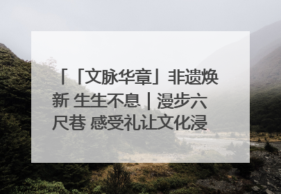 「文脉华章」非遗焕新 生生不息｜漫步六尺巷 感受礼让文化浸润的“巷”往生活
