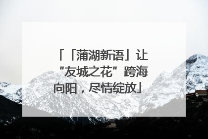 「蒲湖新语」让“友城之花”跨海向阳，尽情绽放