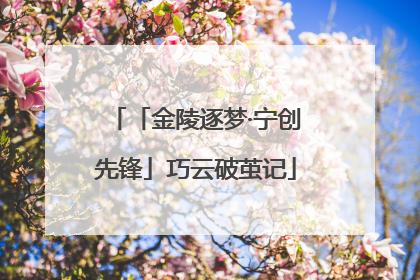 「金陵逐梦·宁创先锋」巧云破茧记