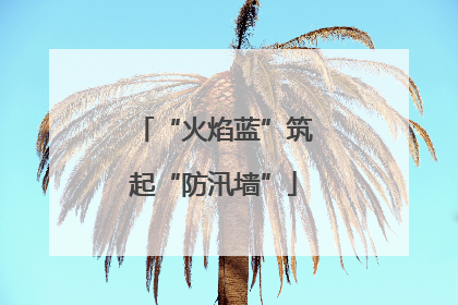 “火焰蓝”筑起“防汛墙”