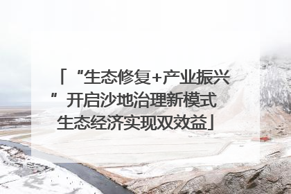 “生态修复+产业振兴”开启沙地治理新模式 生态经济实现双效益