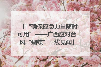 “确保应急力量随时可用”——广西应对台风“蝴蝶”一线见闻