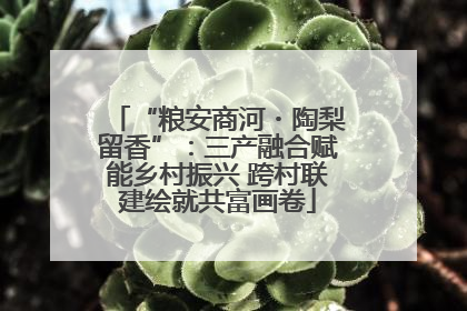 “粮安商河・陶梨留香”：三产融合赋能乡村振兴 跨村联建绘就共富画卷