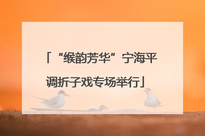 “缑韵芳华”宁海平调折子戏专场举行