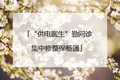 “供电医生”勤问诊 集中修整保畅通