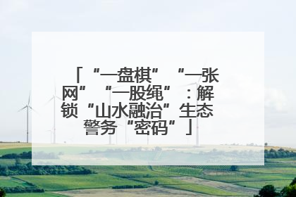 “一盘棋”“一张网”“一股绳”：解锁“山水融治”生态警务“密码”