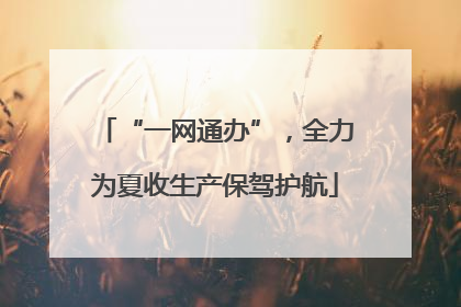 “一网通办”，全力为夏收生产保驾护航