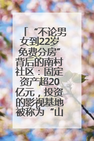 “不论男女到22岁免费分房”背后的南村社区：固定资产超20亿元，投资的影视基地被称为“山村好莱坞”