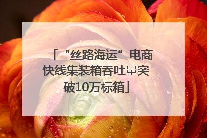 “丝路海运”电商快线集装箱吞吐量突破10万标箱