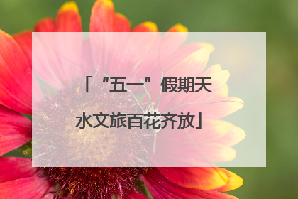 “五一”假期天水文旅百花齐放