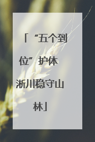 “五个到位”护体 淅川稳守山林