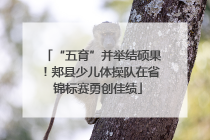 “五育”并举结硕果！郏县少儿体操队在省锦标赛勇创佳绩