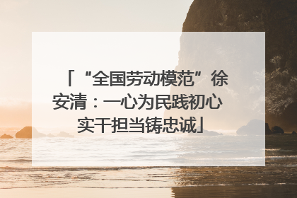 “全国劳动模范”徐安清：一心为民践初心 实干担当铸忠诚