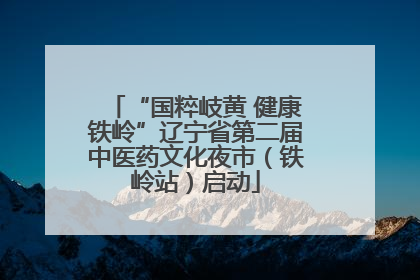 “国粹岐黄 健康铁岭”辽宁省第二届中医药文化夜市（铁岭站）启动