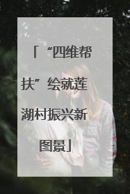 “四维帮扶”绘就莲湖村振兴新图景
