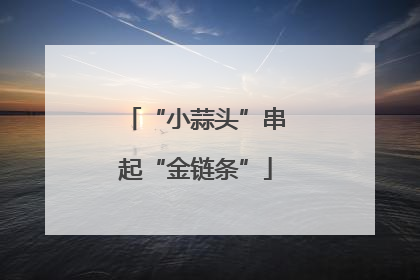 “小蒜头”串起“金链条”