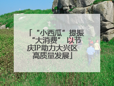 “小西瓜”提振“大消费” 以节庆IP助力大兴区高质量发展