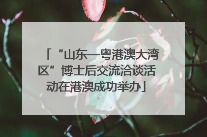 “山东—粤港澳大湾区”博士后交流洽谈活动在港澳成功举办