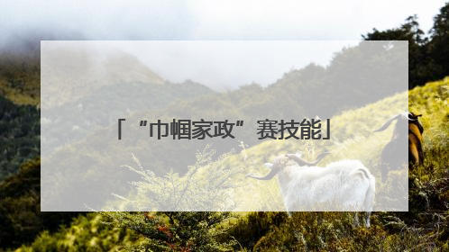 “巾帼家政”赛技能