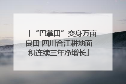“巴掌田”变身万亩良田 四川合江耕地面积连续三年净增长