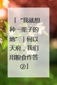 “我就想种一辈子的地”｜何以天府，我们用粮食作答②