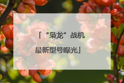 “枭龙”战机最新型号曝光