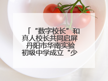 “数字校长”和真人校长共同启屏 丹阳市华南实验初级中学成立“少年科学院”共筑科技创新梦