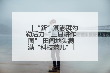 “新”潮澎湃勾勒活力“三夏耕作图” 田间地头满满“科技范儿”