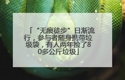 “无痕徒步”日渐流行，参与者随身携带垃圾袋，有人两年捡了80多公斤垃圾
