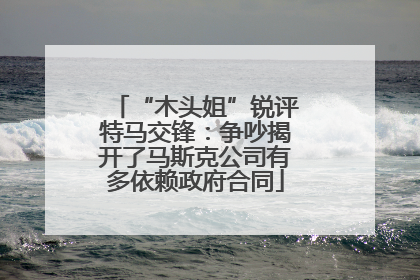“木头姐”锐评特马交锋：争吵揭开了马斯克公司有多依赖政府合同