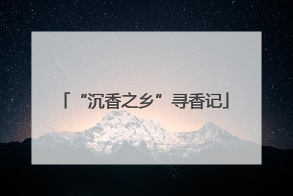 “沉香之乡”寻香记