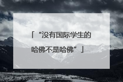 “没有国际学生的哈佛不是哈佛”