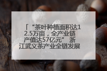 “茶叶种植面积达12.5万亩，全产业链产值达57亿元” 浙江武义茶产业全链发展“加速度”