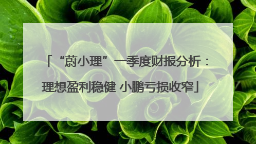 “蔚小理”一季度财报分析：理想盈利稳健 小鹏亏损收窄