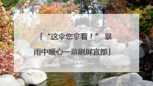 “这伞您拿着！” 暴雨中暖心一幕刷屏宜都