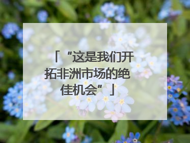 “这是我们开拓非洲市场的绝佳机会”