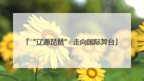 “辽源琵琶” 走向国际舞台