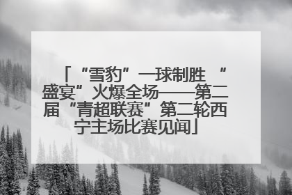 “雪豹”一球制胜 “盛宴”火爆全场——第二届“青超联赛”第二轮西宁主场比赛见闻