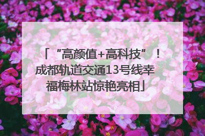 “高颜值+高科技”！成都轨道交通13号线幸福梅林站惊艳亮相