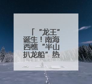 “龙王”诞生！南海西樵“半山扒龙船”热闹开锣