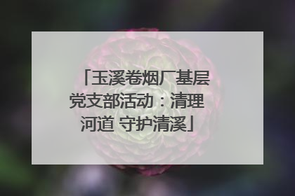 玉溪卷烟厂基层党支部活动：清理河道 守护清溪