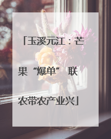 玉溪元江：芒果“爆单” 联农带农产业兴