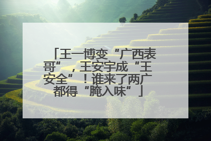 王一博变“广西表哥”，王安宇成“王安全”！谁来了两广都得“腌入味”