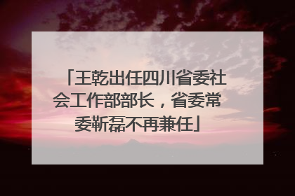 王乾出任四川省委社会工作部部长，省委常委靳磊不再兼任