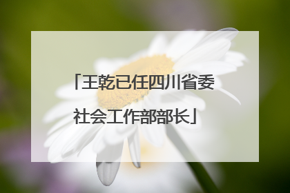 王乾已任四川省委社会工作部部长